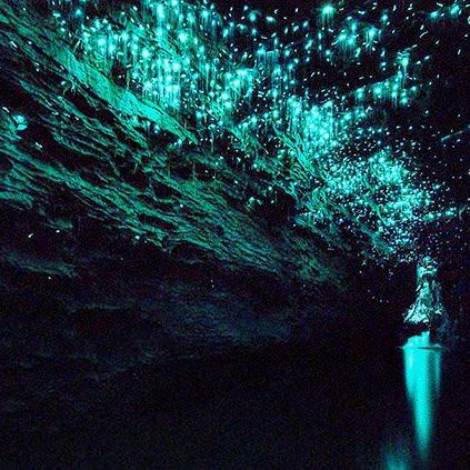 WATCH: Blackwater Rafting The Glow Worm Caves Of Waitomo In Newzealand WATCH: Blackwater Rafting The Glow Worm Caves Of Waitomo In Newzealand