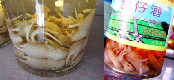 Photo Credits- http://www.foodbeast.com