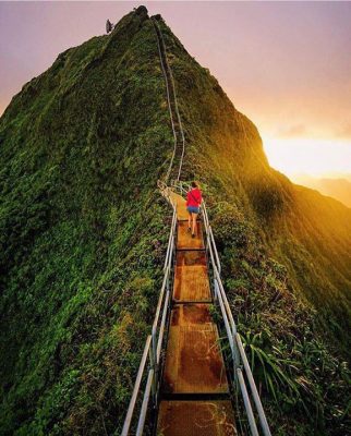 Photo credits: Pintrest