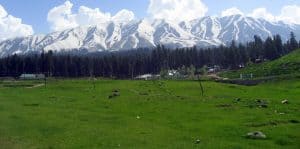 learn acroyoga for beginners trip to the meadows of Gulmarg