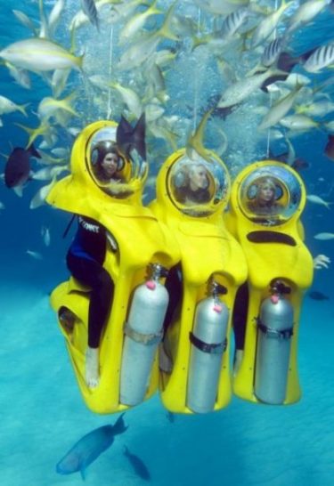 Picture Credits- https://www.hawaiiactivities.com