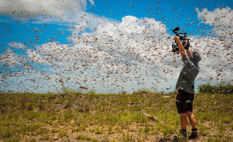 Indulge In The Beauty Of Planet Earth With BBC’s Free 40-hour Video- Planet Earth II Indulge In The Beauty Of Planet Earth With BBC’s Free 40-hour Video- Planet Earth II